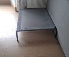 Raised Dog Bed