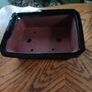 Bonsai Planter Glazed terracotta Image 2