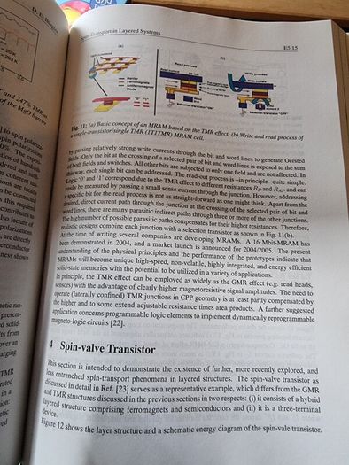 Magnetism goes Nano: Electron Correlations, Spin Transport, Molecular Magnetism... (gebundene Ausgabe