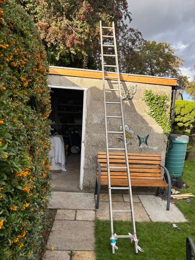 Ladder 12 foot 6 inch
