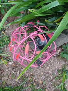 Garden sculpture
