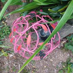 Garden sculpture
