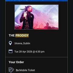 The Prodigy 3Arena