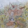 Watercolour. Image 4