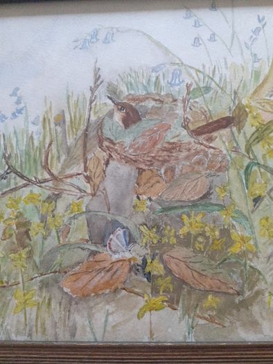 Watercolour.