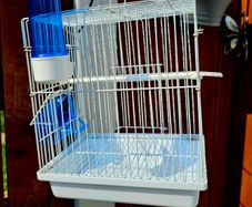 Mule or transport bird cage.