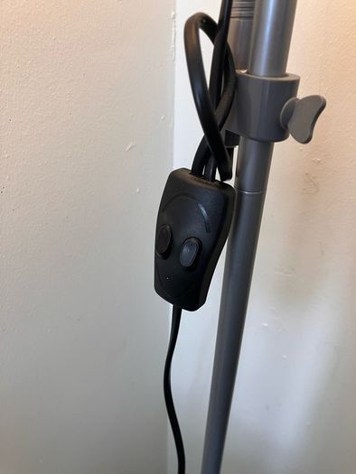 2 Floor Lamps