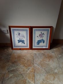 pictures