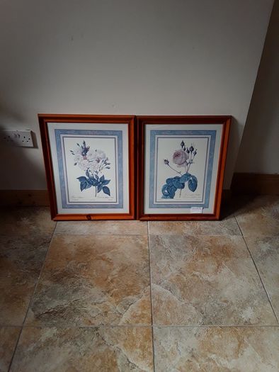 pictures