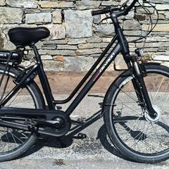 Ebike - 800 ONO (Cash Only)
