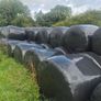 Silage bales Image 4