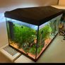 60litre fish tank Image 2