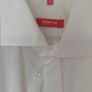 Externa cotton dress-shirt (42cm 16.5 inches) Image 2
