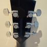 Ibanez Pf104sjp-b Image 5