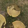 Millennium Still Cymbal set Image 2