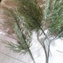 artificial plant Image 2