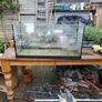 Aquarium Image 2