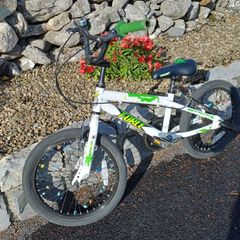 Apollo Force Kids Bike