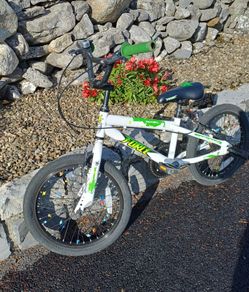 Apollo Force Kids Bike