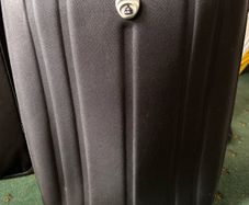 Domo Suitcase