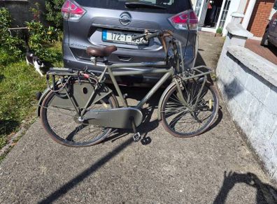 Popal Leisure Bike Dutch