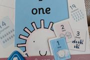 Jumbo Number Flash Cards (250)