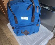 Dog transport bag