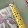 FRAMED DETAIL IRIS RAINBOW FANTASY penceled and coloered signed by artist . Image 5