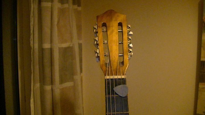 LARK Guitar
