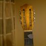 LARK Guitar Image 4