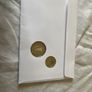 Rare An Post Dual Currency Cover: Final Irish 1 pound Millennium & First 1 Euro Coin Set Image 2