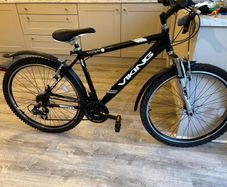 Viking Mountain Bike
