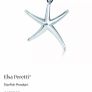 Tiffany and Co Solid Silver Star necklace Image 9