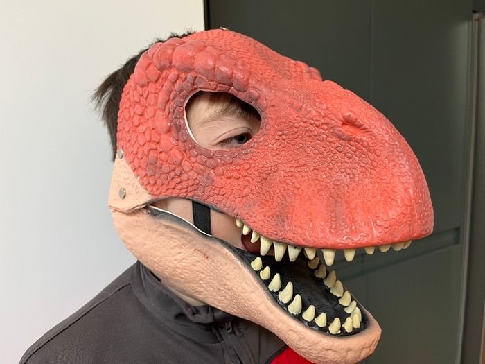 Dinosaur mask
