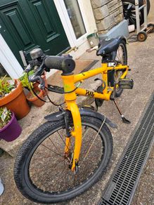 Frog bike