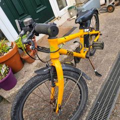 Frog bike