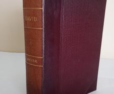 David: Shepherd, Psalmist, King by F. B. Meyer (GT74)