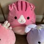 Squishmallow bundle Image 3