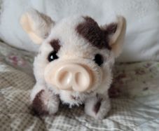 Little piglet teddy - walks and squeeks