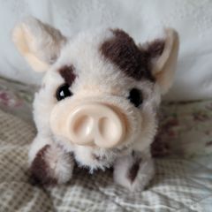 Little piglet teddy - walks and squeeks
