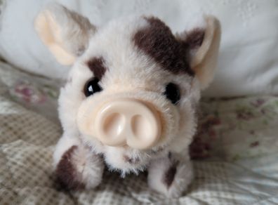 Little piglet teddy - walks and squeeks