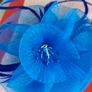 Fascinator Image 2