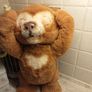 Cubby bear Image 2