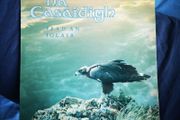 Na Casaidigh - Fead An Iolair Gael Linn LP Irish Language