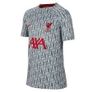 BNWT liverpool Nike short sleeve training top XXL Image 2