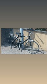 ladies bike