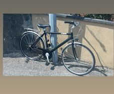 ladies bike