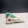 Vintage Porcelain Parakeet Figurine  K.S.P. England Image 4
