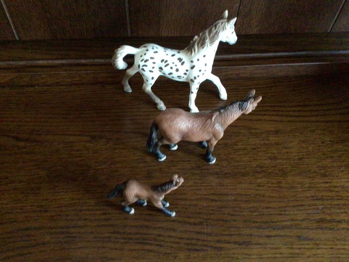 Toy Horses