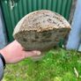 Half round wooden fence post Image 4